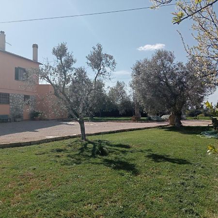 Villa In Campagna Tra Natura E Verde Montalto di Castro Dış mekan fotoğraf