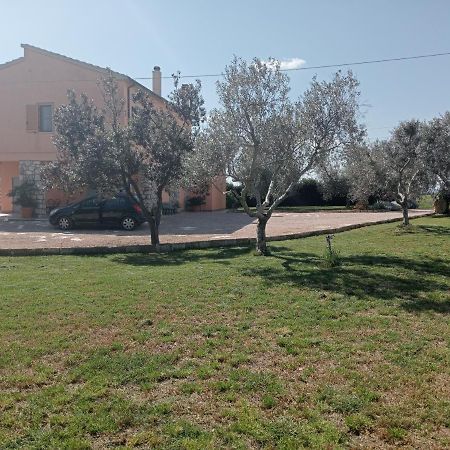 Villa In Campagna Tra Natura E Verde Montalto di Castro Dış mekan fotoğraf