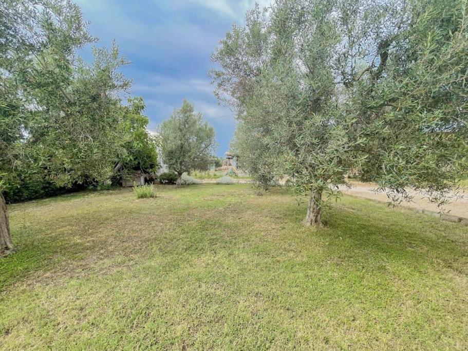 Villa In Campagna Tra Natura E Verde Montalto di Castro Dış mekan fotoğraf