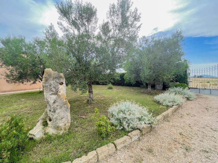 Villa In Campagna Tra Natura E Verde Montalto di Castro Dış mekan fotoğraf