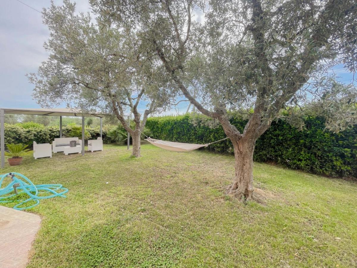 Villa In Campagna Tra Natura E Verde Montalto di Castro Dış mekan fotoğraf