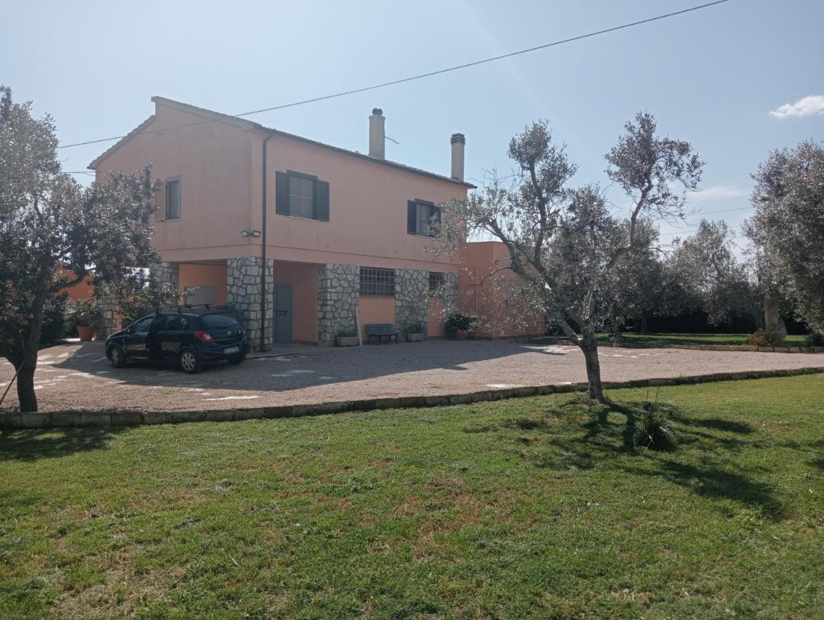 Villa In Campagna Tra Natura E Verde Montalto di Castro Dış mekan fotoğraf