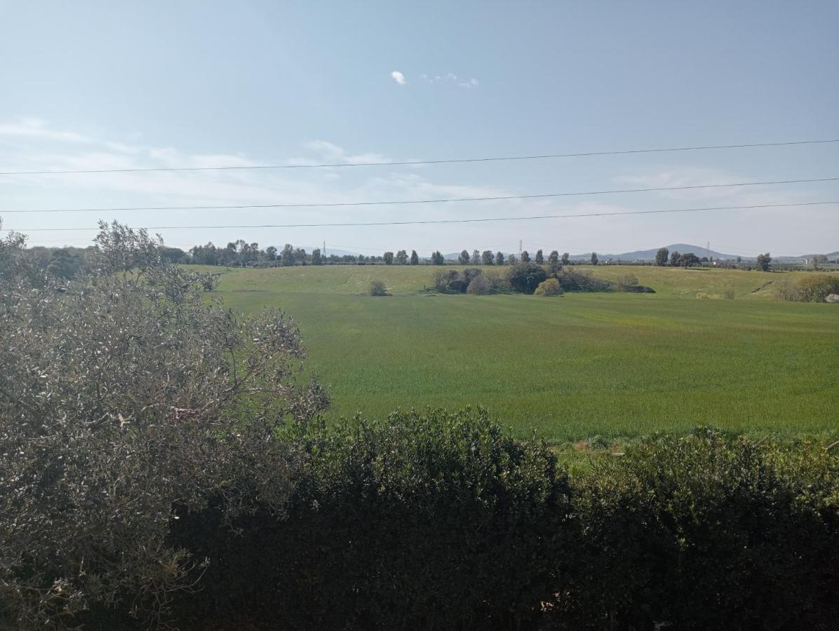 Villa In Campagna Tra Natura E Verde Montalto di Castro Dış mekan fotoğraf