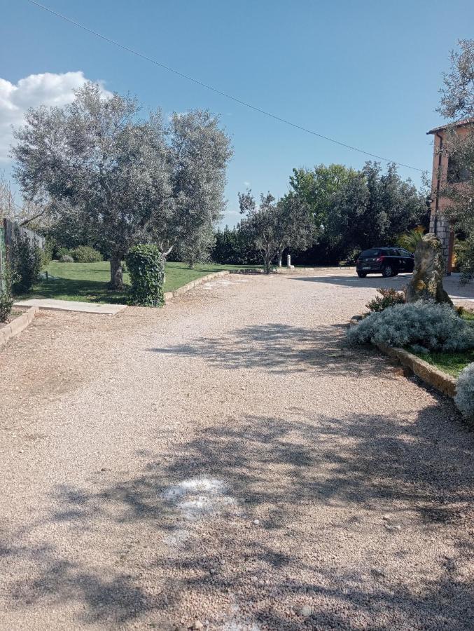 Villa In Campagna Tra Natura E Verde Montalto di Castro Dış mekan fotoğraf