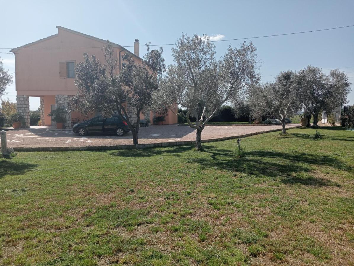 Villa In Campagna Tra Natura E Verde Montalto di Castro Dış mekan fotoğraf