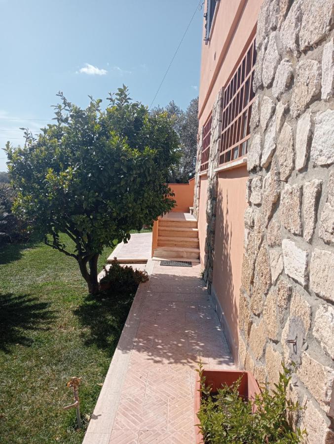 Villa In Campagna Tra Natura E Verde Montalto di Castro Dış mekan fotoğraf